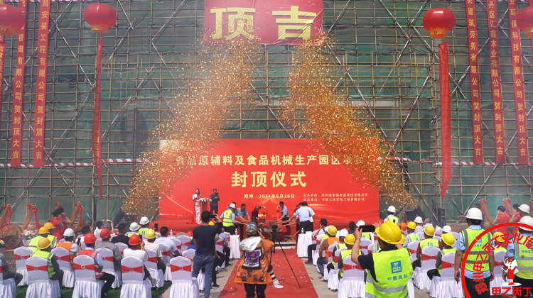 大型项目封顶仪式喜封金顶封顶大吉庆典仪式策划方案.jpg